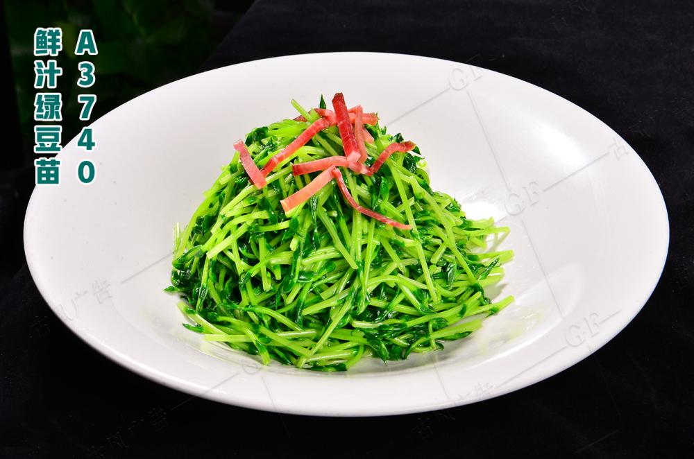 A3740鮮汁綠豆苗