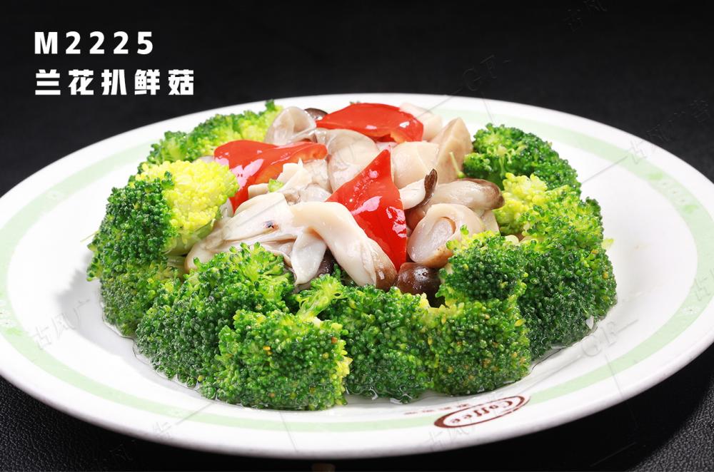 M2225蘭花扒鮮菇