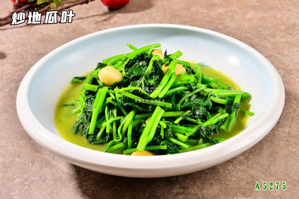 A5275炒地(dì / de)瓜葉